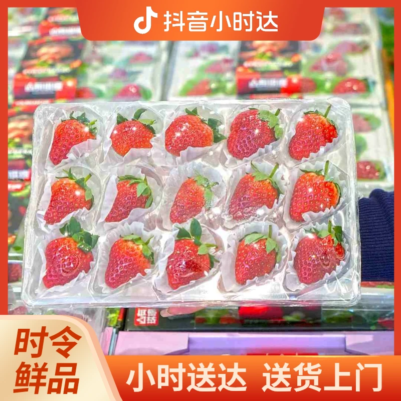 丹东九九草莓一盒