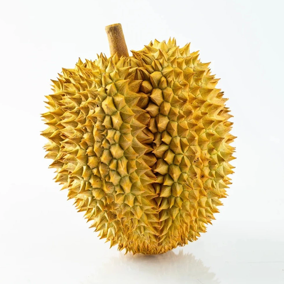 树熟金枕榴莲一个（约3斤）
