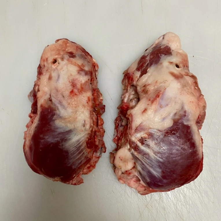 特价煲汤骨【猪面骨】广东连州生态放养一年老品种土猪约3－3.5斤