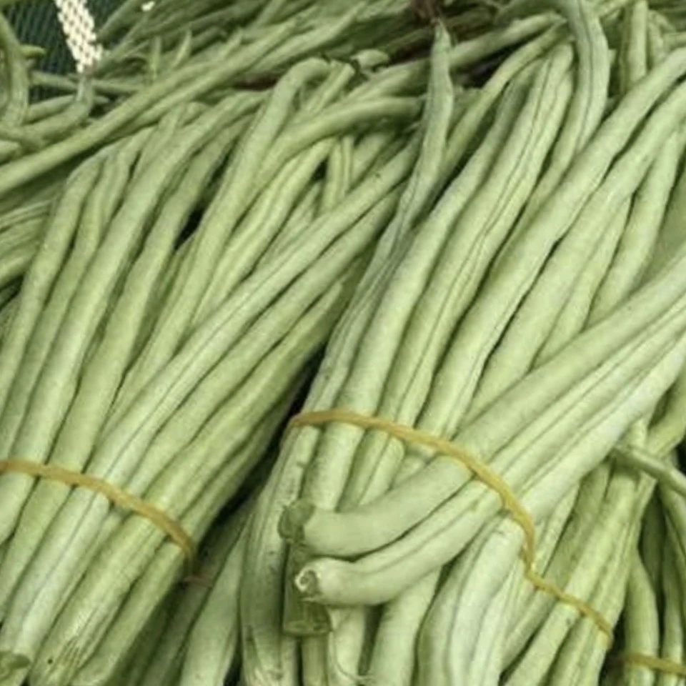 【本地农家丑样软甜短豆角】净重3斤农家肥种植发顺丰坏菜包赔