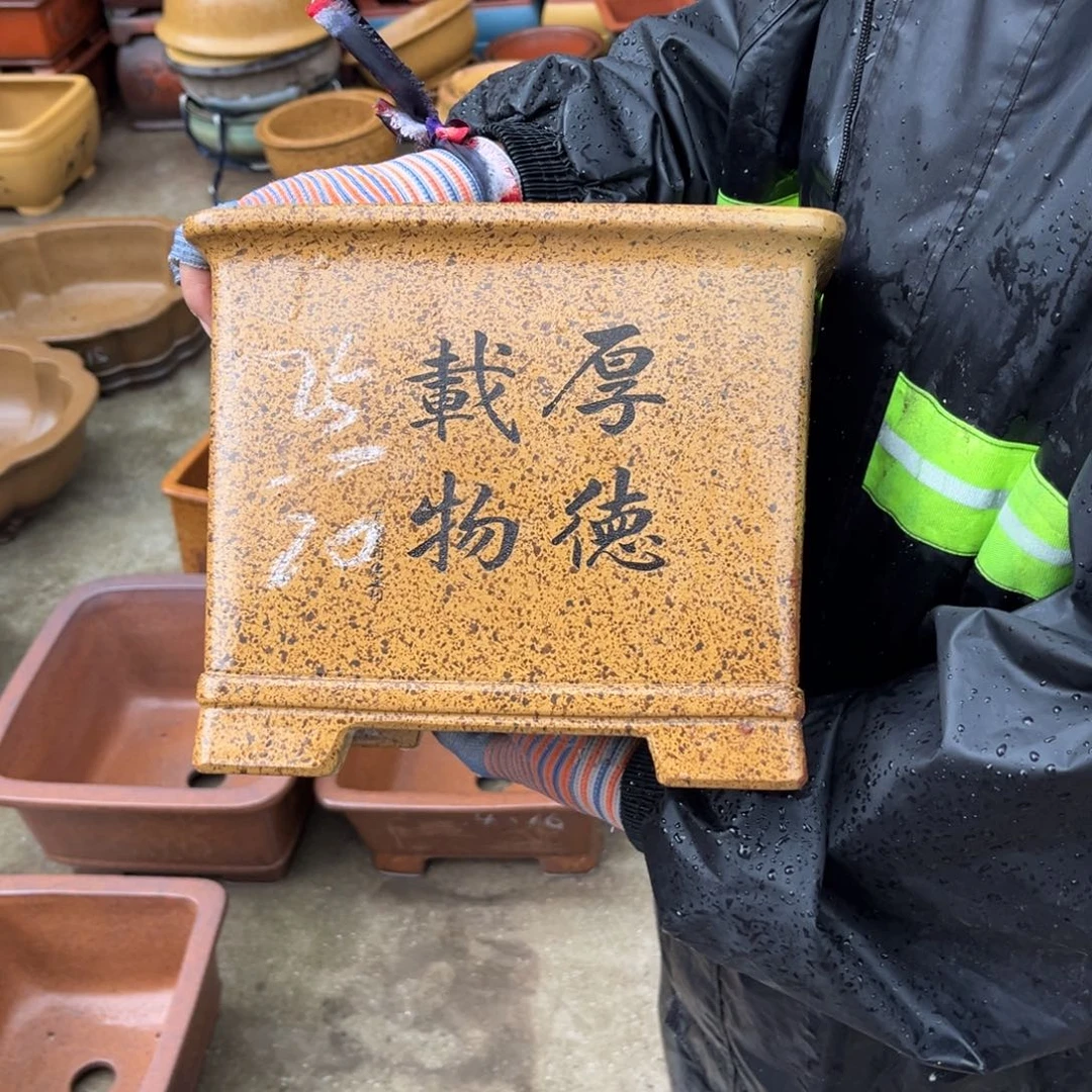 紫砂花盆盆景艺术