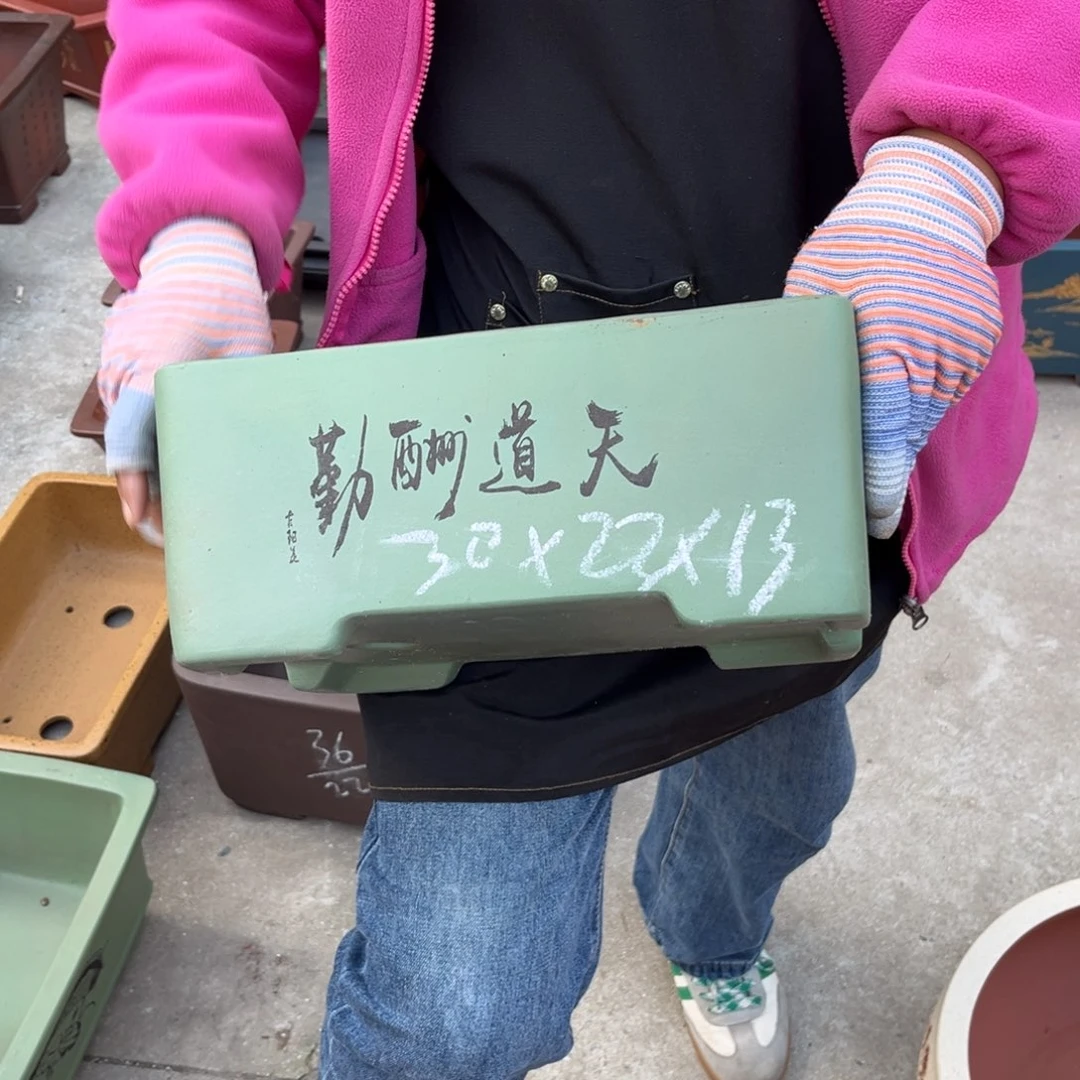 紫砂花盆盆景艺术