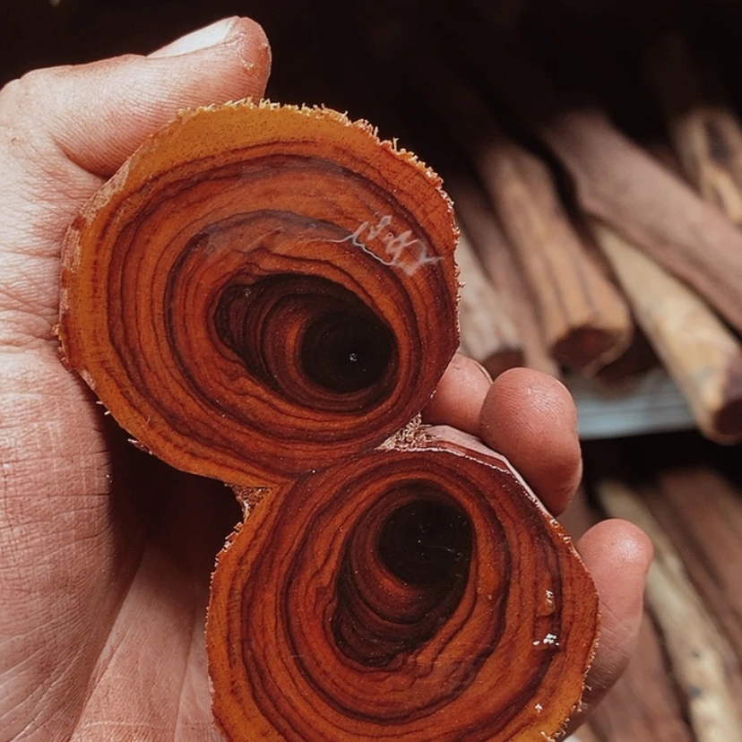 【闪购商品】木头风*