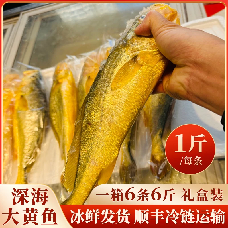 送礼款，一箱6条6斤装带礼盒包装，顺丰冷链包邮