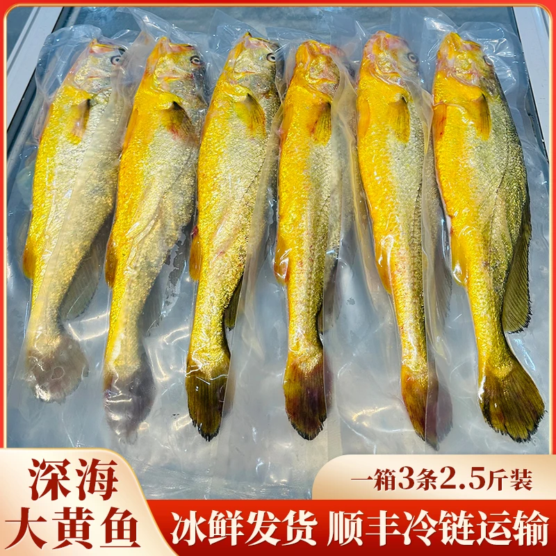 正宗宁德海鲜深海大黄鱼，一箱3条2.5斤，，冰鲜发货，顺丰包邮