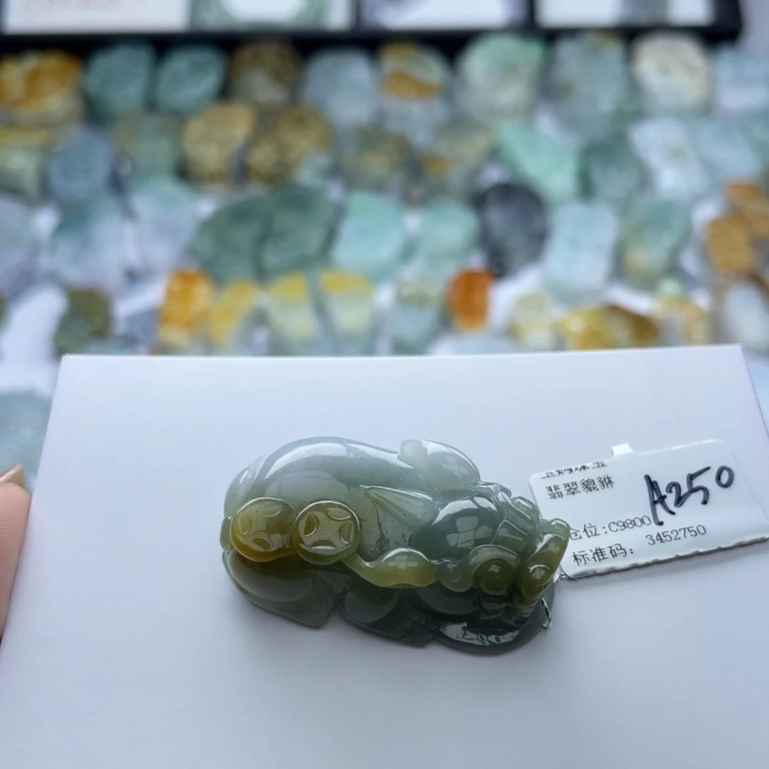 翡翠颈饰未镶嵌貔貅