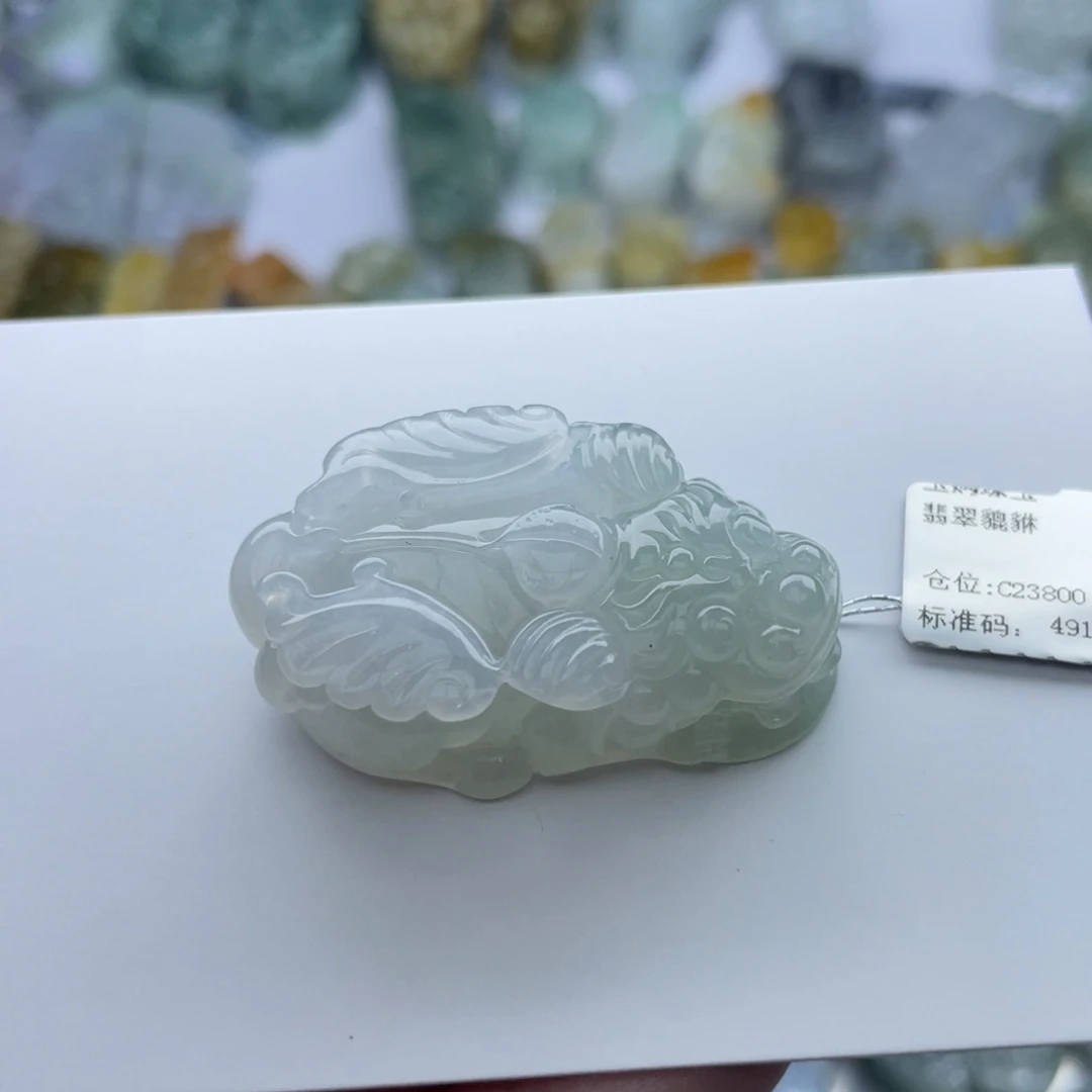 翡翠颈饰未镶嵌貔貅