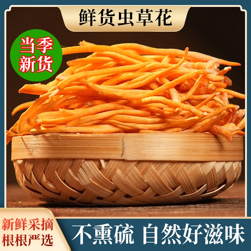 【精选250g+100g】新鲜深山虫草花北虫草金虫草煲汤炖汤炒菜营养