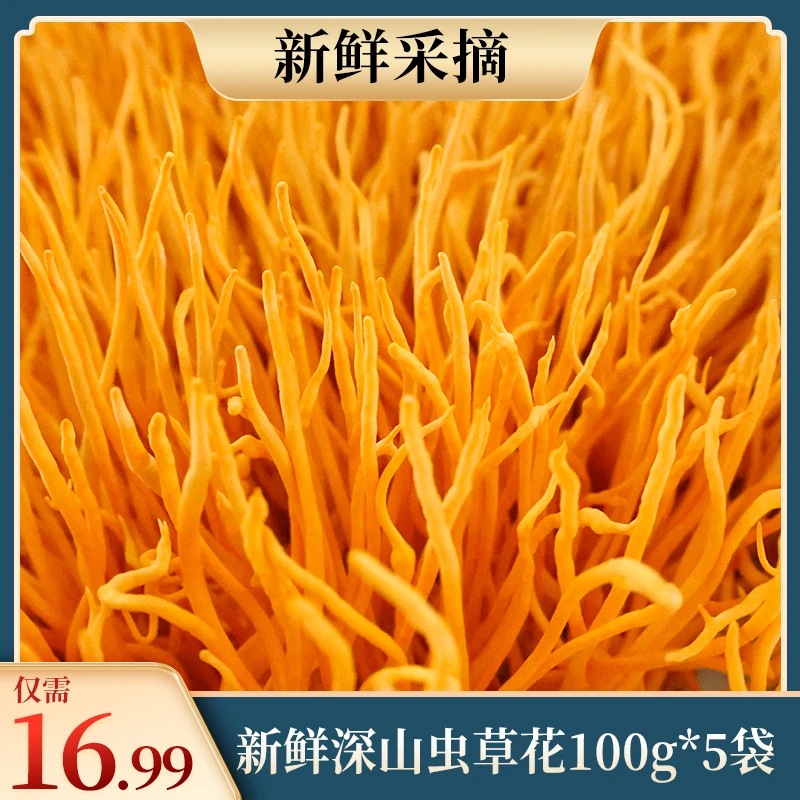 精选新鲜深山虫草花北虫草金虫草煲汤炒肉营养饱满丰富食材囤货装
