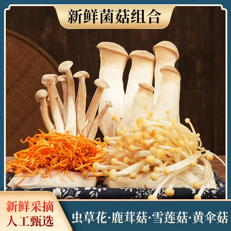 【新鲜菌菇汤包】虫草花·鹿茸菇·雪莲菇·黄伞菇·煲汤炒肉烫火锅营养