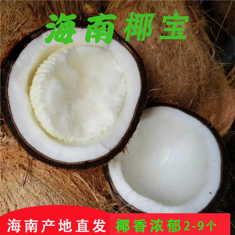 海南牛奶椰宝2/4/6/9个装发芽椰子椰青新鲜老椰子煲汤整箱包邮