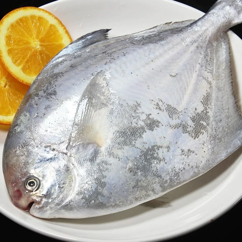 「琳嗒妈妈 · 白鲳鱼肉质鲜嫩250g~350g 一条 到手2条送一条共3条」