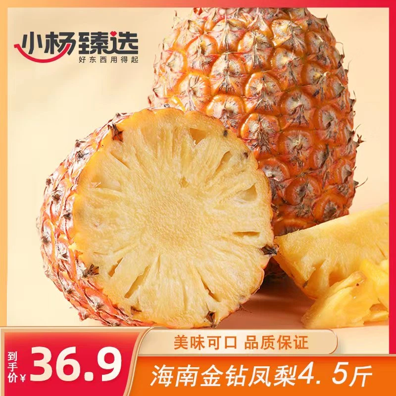 【小杨臻选】金钻凤梨4.5斤 大果 放黄后食用 整箱发货 2-3个