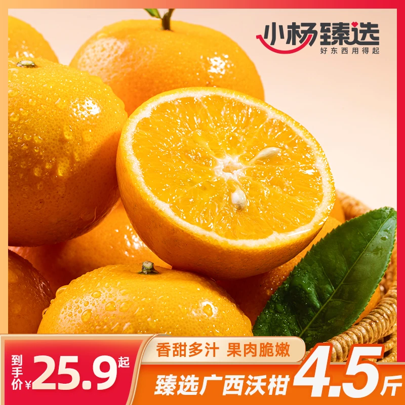 【小杨臻选】广西沃柑净重4.5斤装
