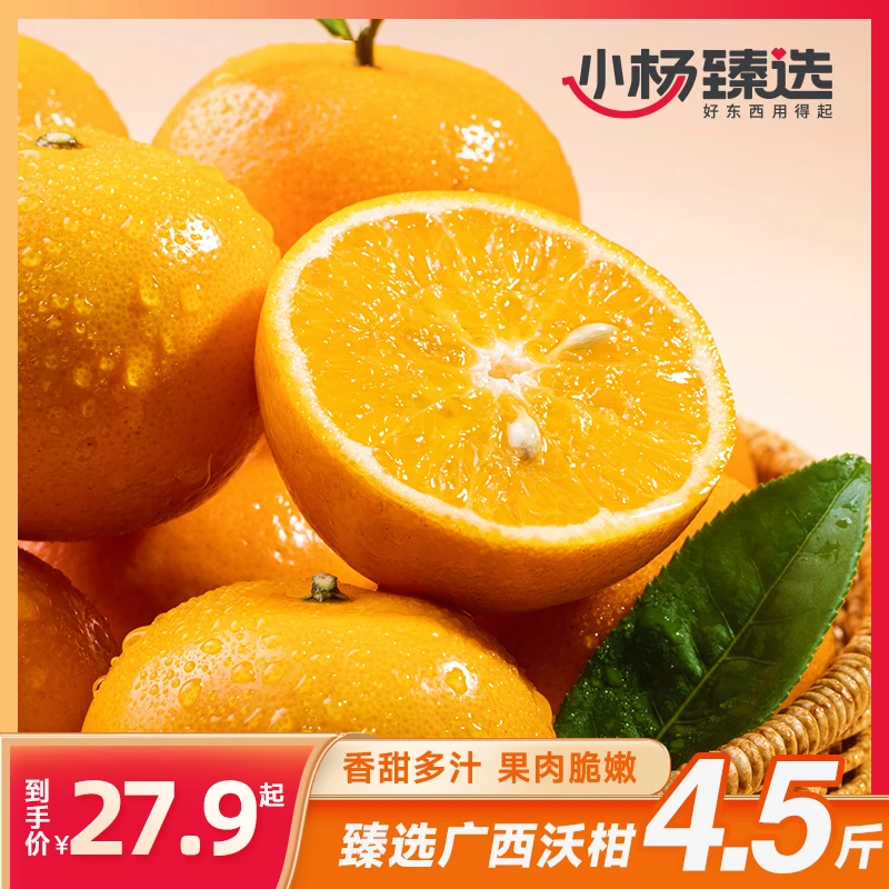 【小杨臻选】广西沃柑净重4.5斤装    XY