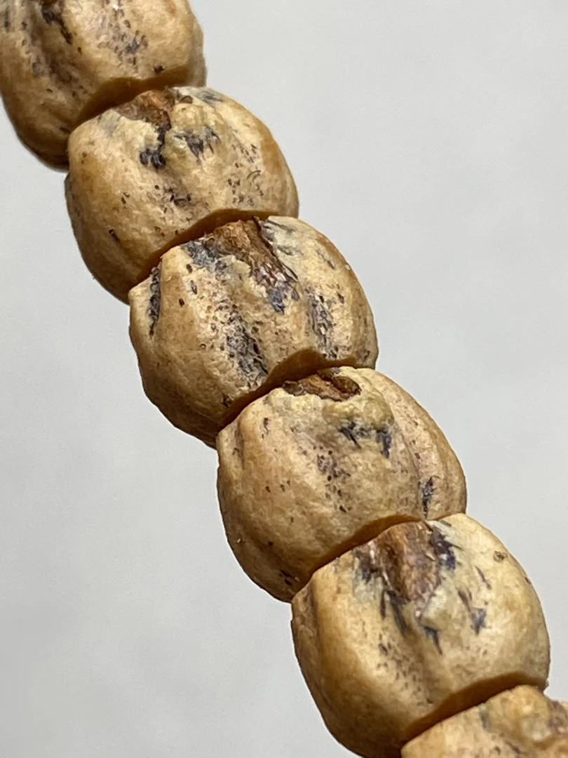 热振百香籽/柏香籽108长串『红芽鬼莲花』顶级骨质密度，无糠芽，糠边