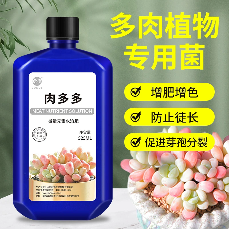 君德肉多多营养液专用型增肥增色生根家用植物室内室外多肉肥料