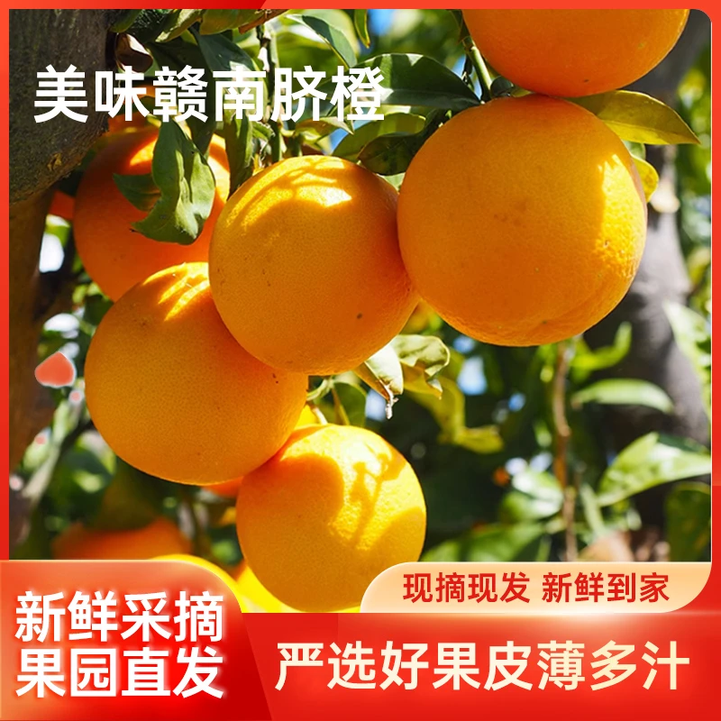 赣南脐橙新鲜水果橙子赣州产地直发包邮江西应当季整箱现摘水果