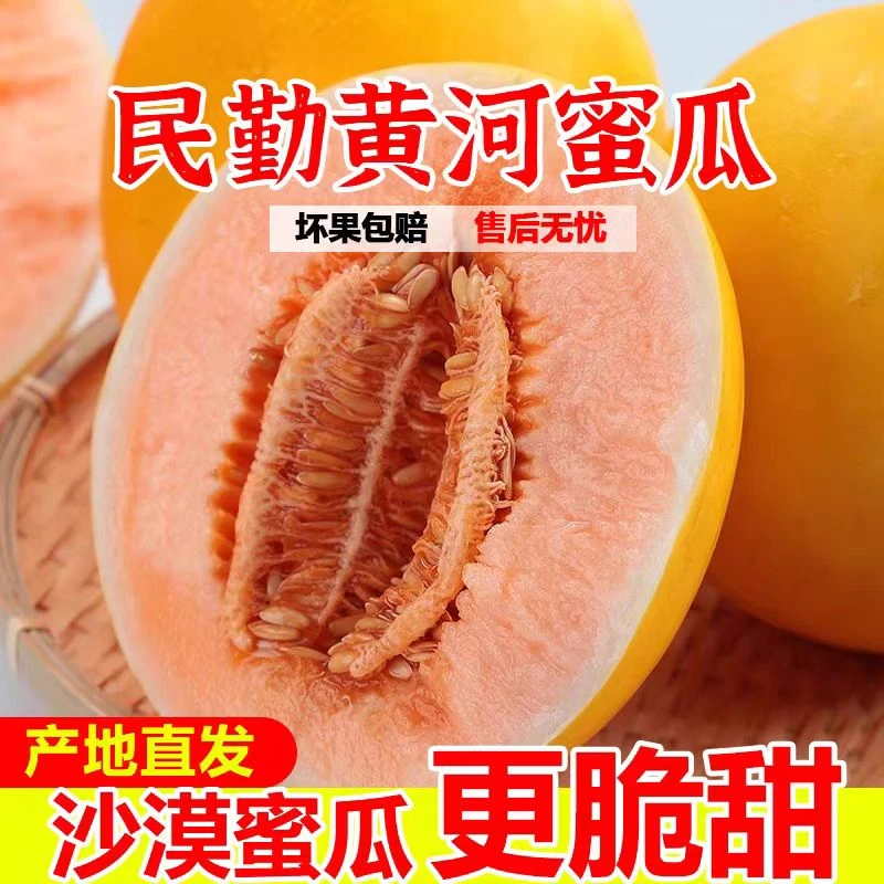 【顺丰/中通】甘肃民勤沙漠新鲜金红宝黄河蜜瓜，5/7/8/12斤坏果包赔