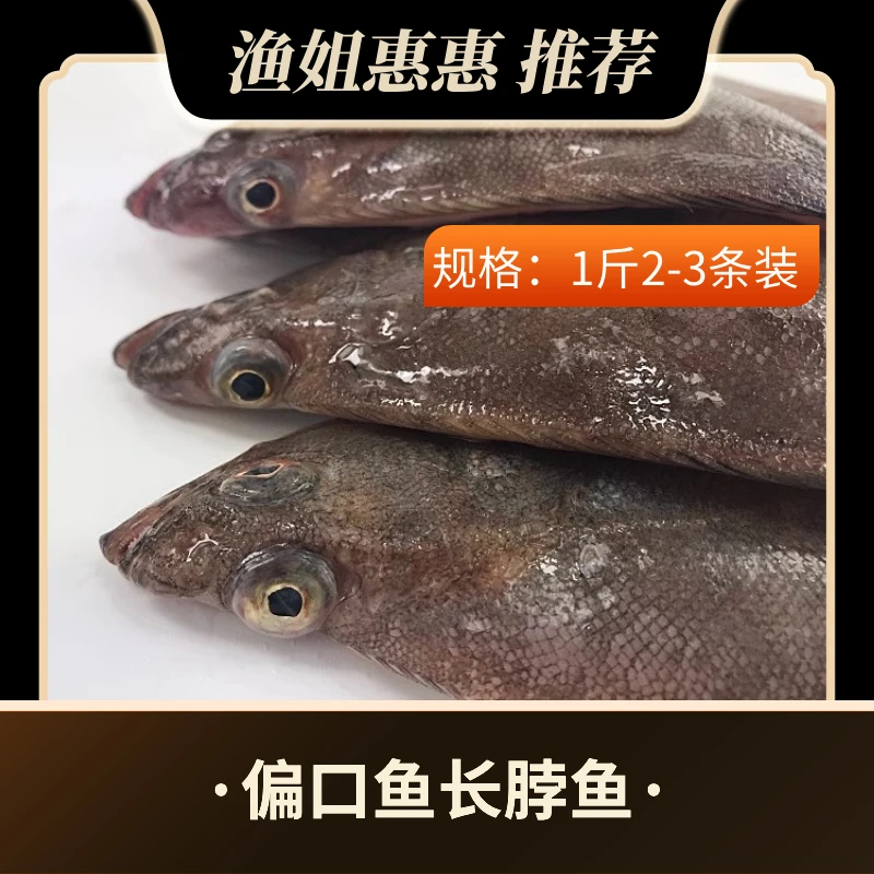 速冻鲜活 纯野生偏口鱼  2-3条/斤 净重4斤  山东威海发货