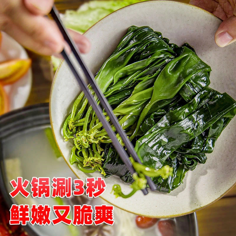 盗海人盐渍小海带嫩芽涮火锅食材 干净无沙1斤独立包装工厂直发