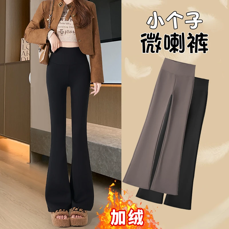 小个子微喇鲨鱼裤女外穿打底裤秋冬款加绒高腰显瘦塑形阔腿喇叭裤