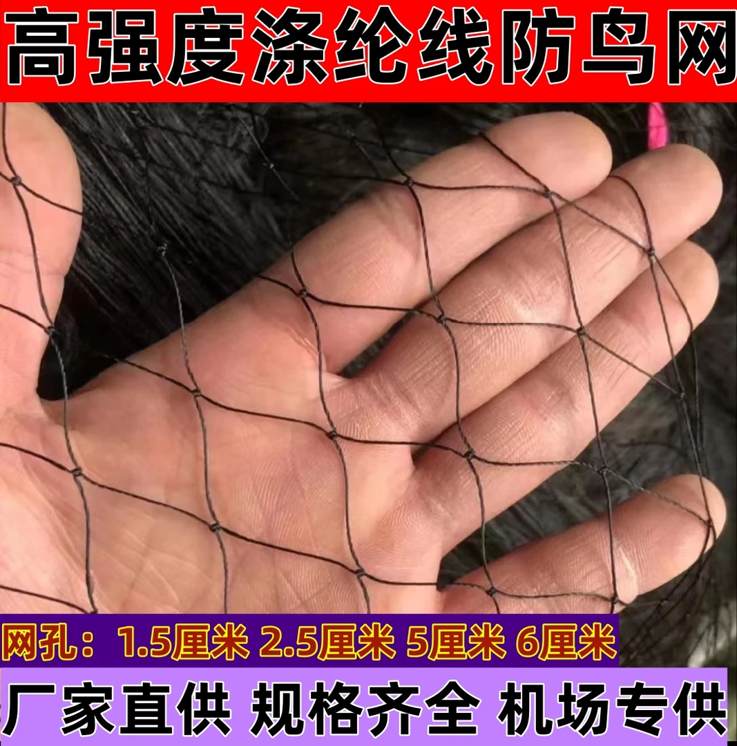 果园防鸟网网尼龙网#轮胎线网#葡萄网爬藤网天网#小眼网1.5指
