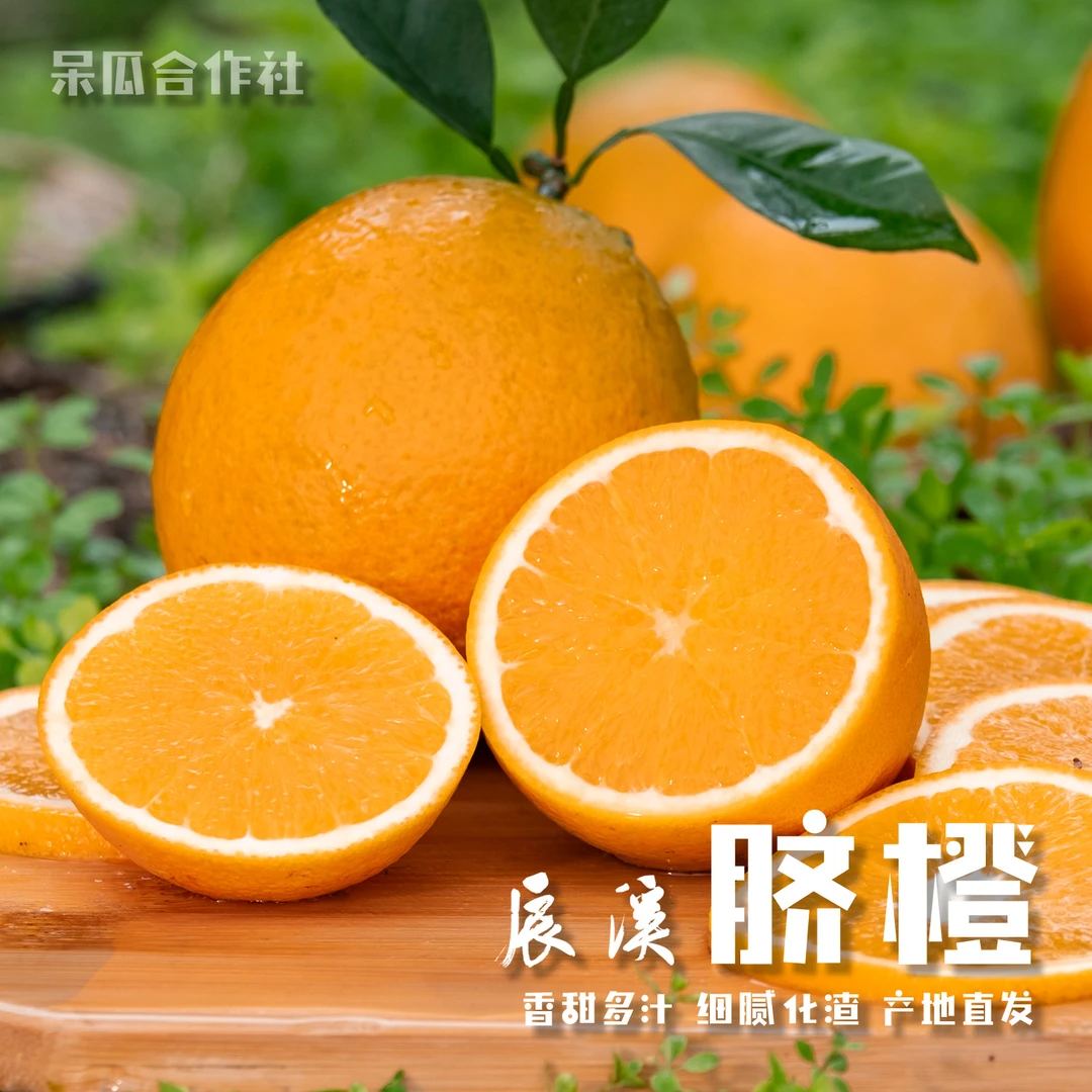 久客思归精品脐橙细腻多汁化渣湖南怀化辰溪纽荷尔脐橙5/9斤左右