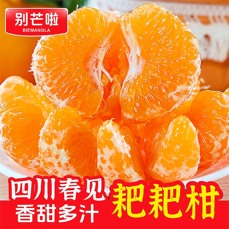 翁班长【坏果包赔】四川春见耙耙柑香甜多汁现摘优质新鲜水果8斤