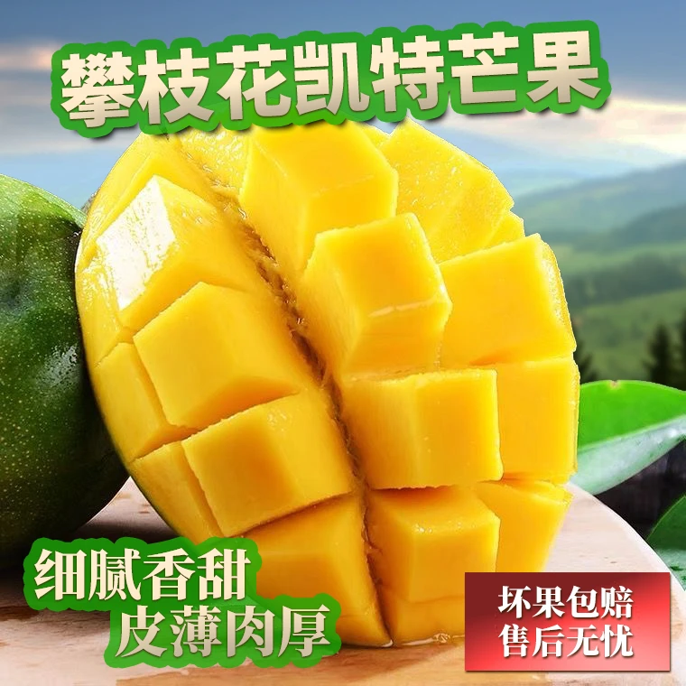 阿昆【放软即吃】四川攀枝花凯特芒现摘现发放坏果包赔5-9斤