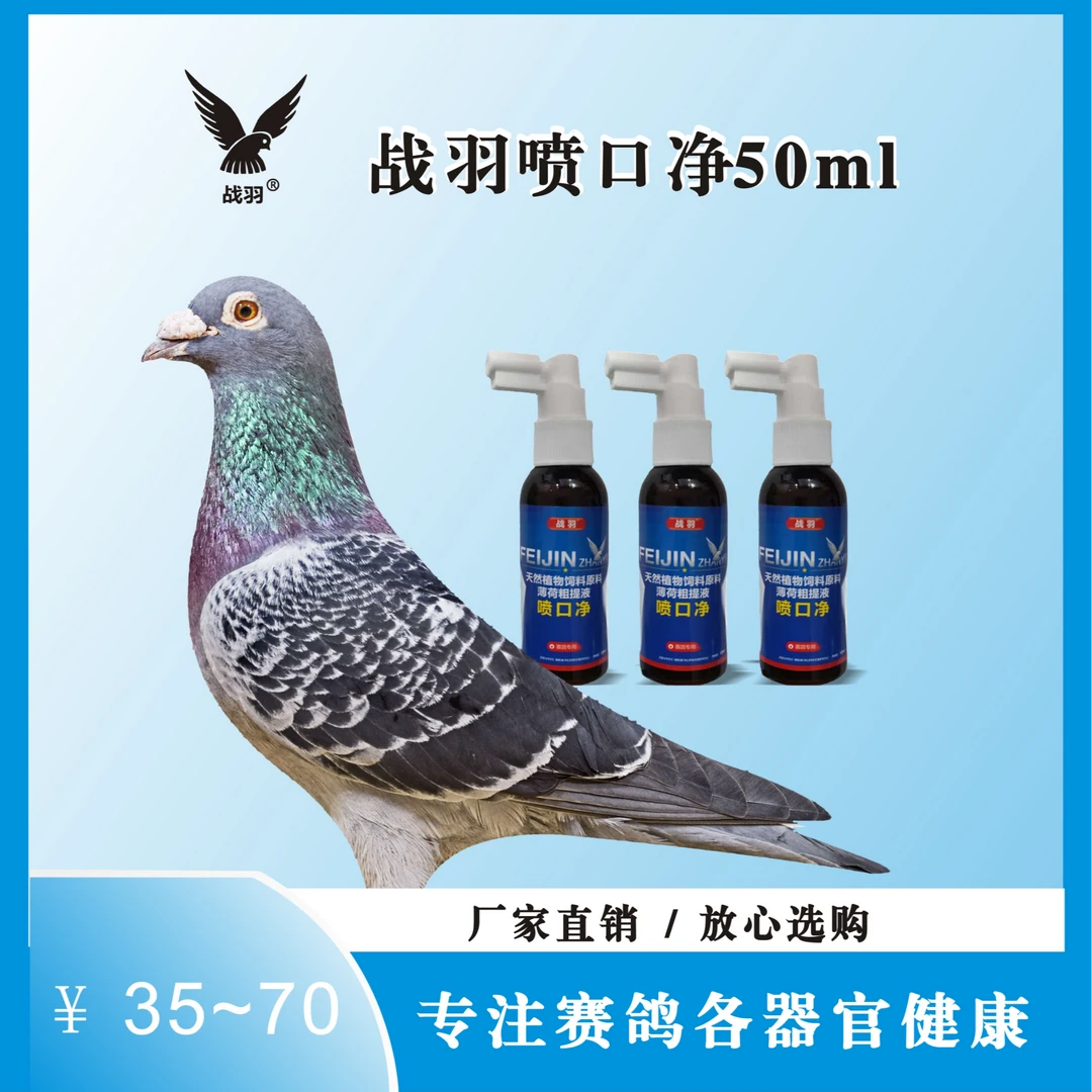 战羽  喷口净 50ml/瓶  信鸽用品