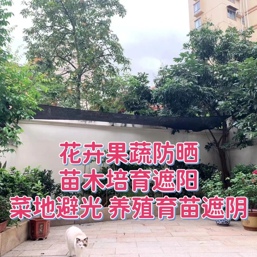 黑色遮阳网花卉果蔬培育防晒网苗木遮阳网菜地避光网养殖育苗网