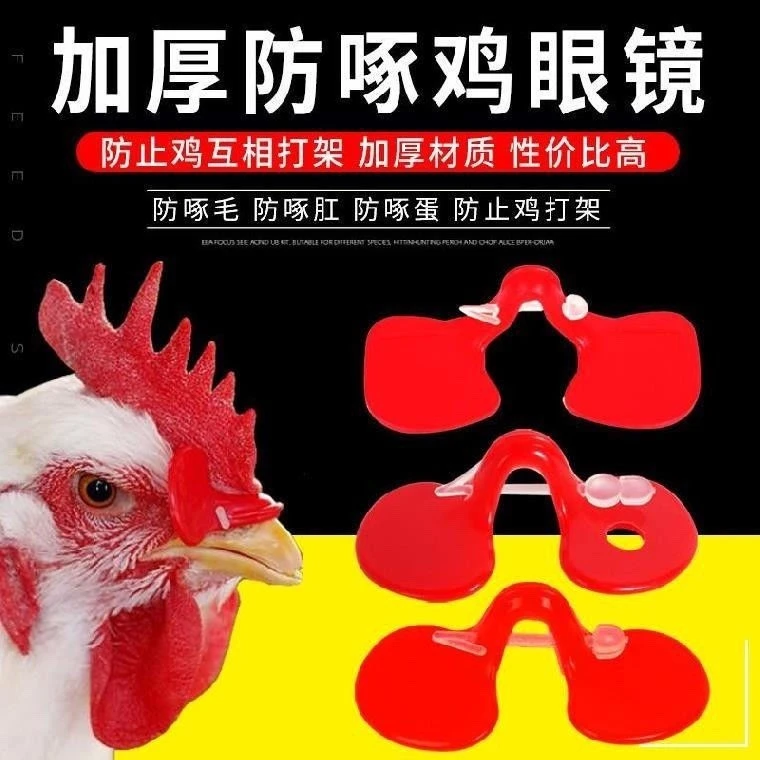 鸡眼镜土鸡防啄鸡展示新型小鸡眼罩养殖中号大号有孔公鸡眼镜产品