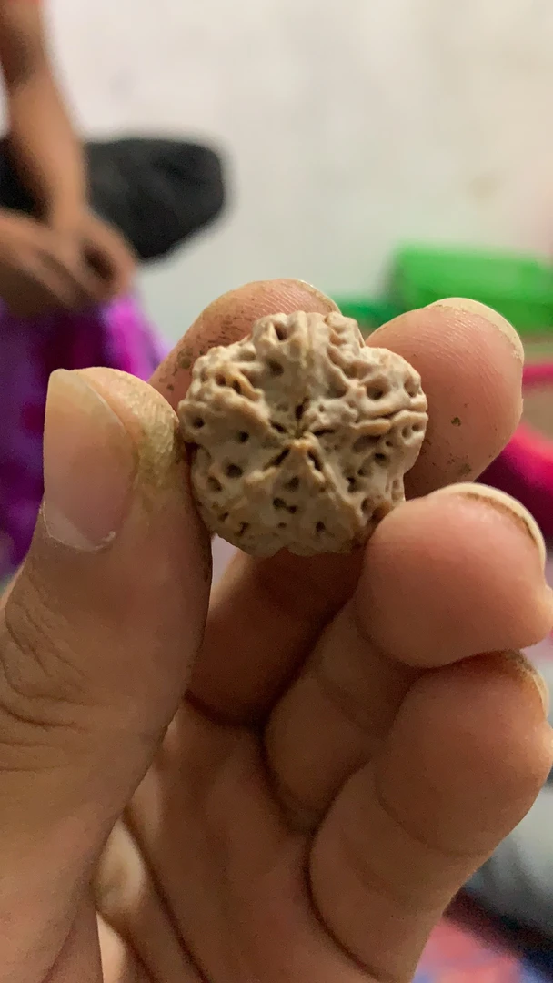 纽扣立体梅花梅花双龙爆肉尺寸23毫米金刚菩提（以直播为准）
