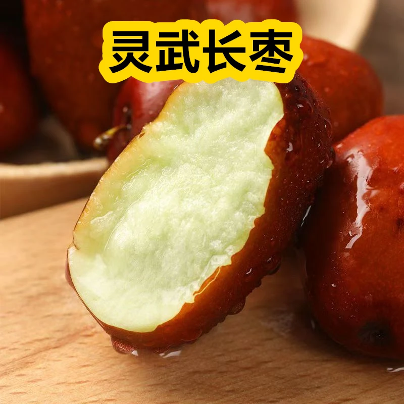 灵武长枣树苗大枣蜜枣子苗 冰糖枣树苗 果甜枣子树苗当年结果苗