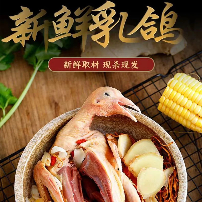 农家杂粮散养现杀鸽子孕妇儿童老人营养健康术后恢复七两实惠装