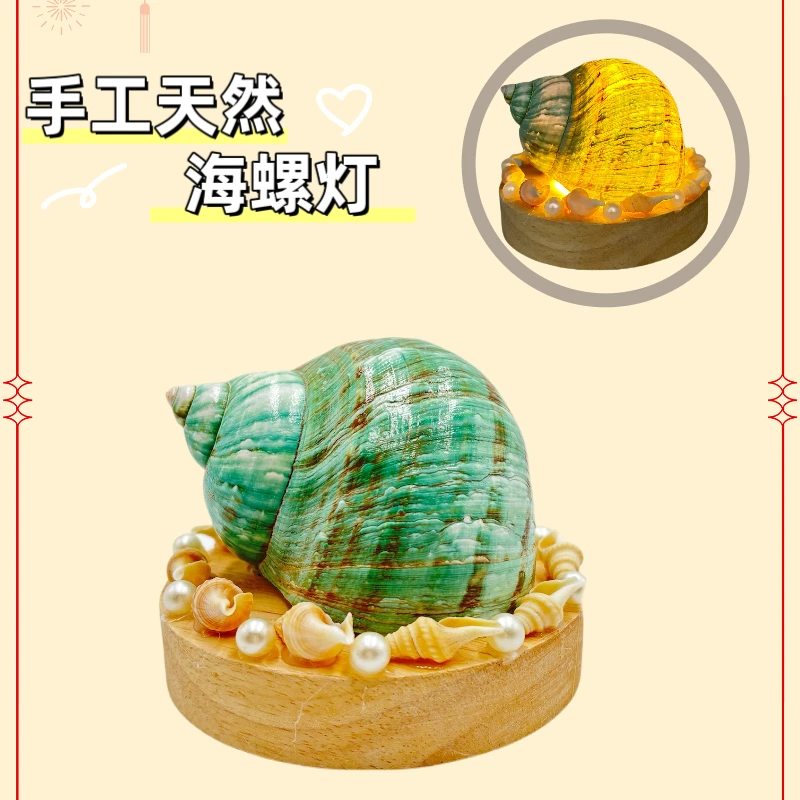 天然海螺创意小夜灯情调氛围礼物起夜小夜灯海螺灯摆件海边纪念品