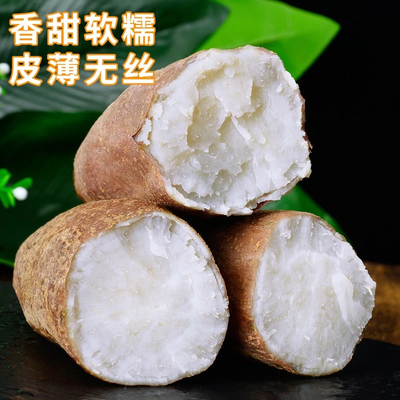 正宗山东新鲜哈密冰糖薯3/5斤白心蜜薯 烘烤香甜