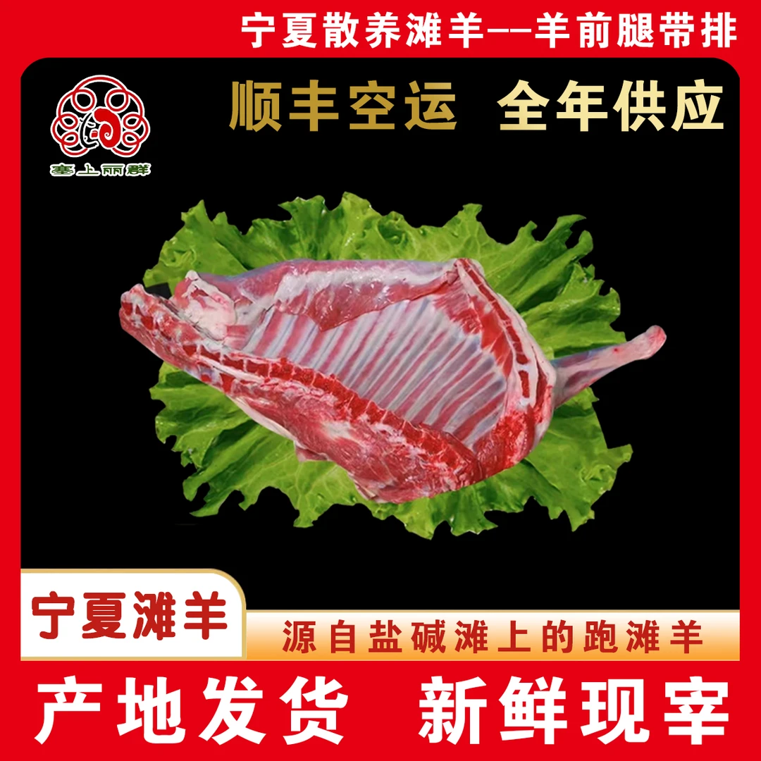 宁夏滩羊滩羊前腿+排骨  5斤6斤  顺丰空运包邮 羊肉类