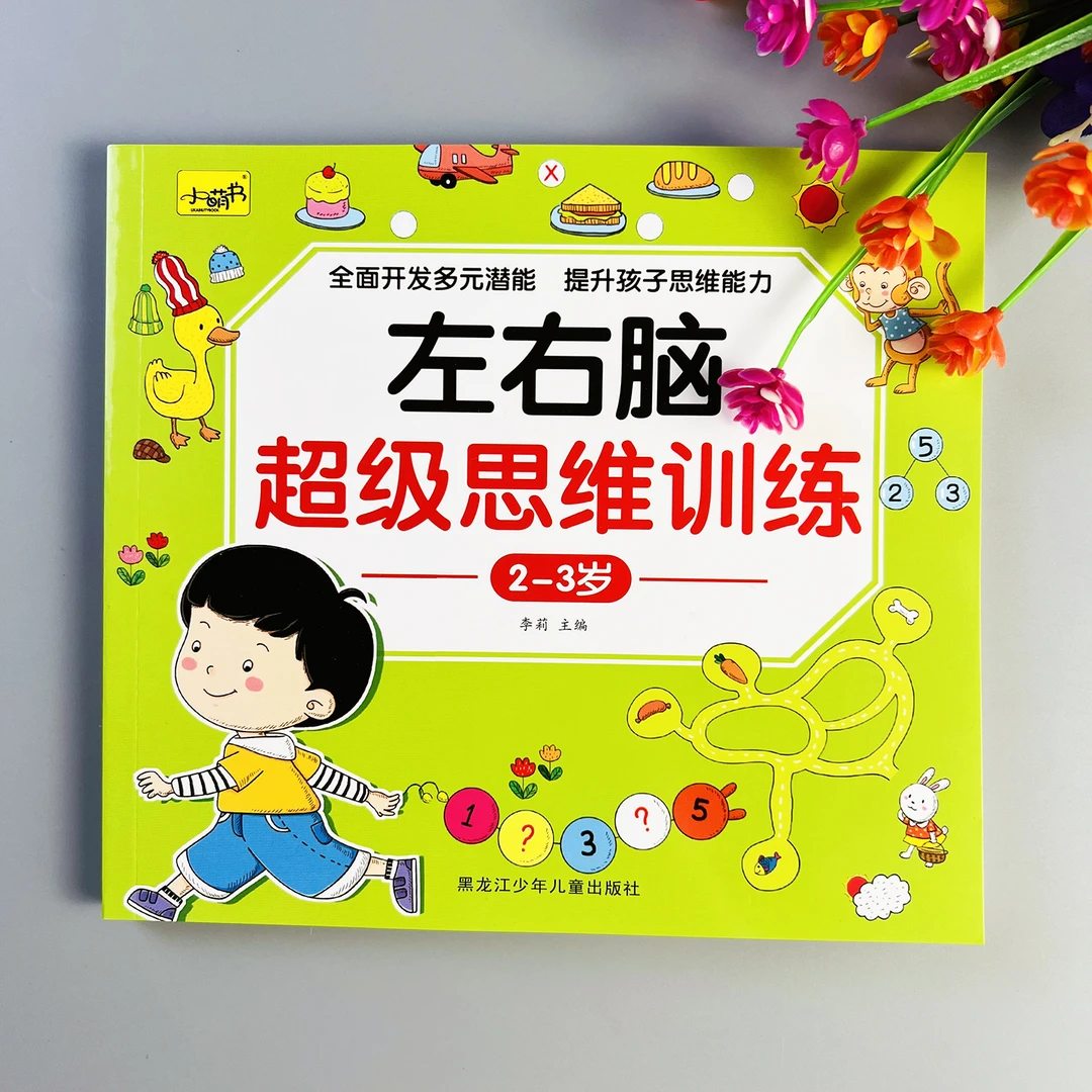 左右脑超级思维训练2-3岁左右脑开发训练智力开发早教书启蒙早教