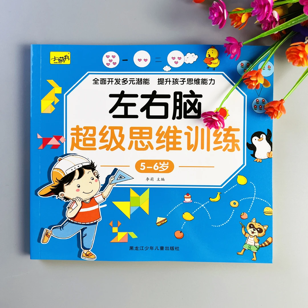 左右脑超级思维训练5-6岁左右脑开发思维训练书幼儿启蒙早教益智
