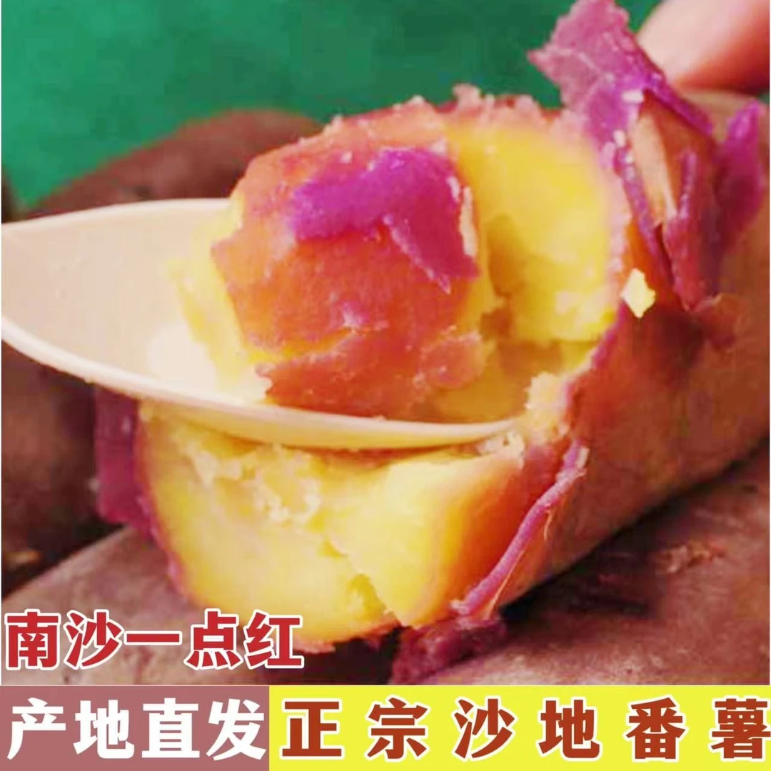 【产地直发】沙地自种南沙一点红番薯入口板栗香甜蜜薯冰淇淋红薯