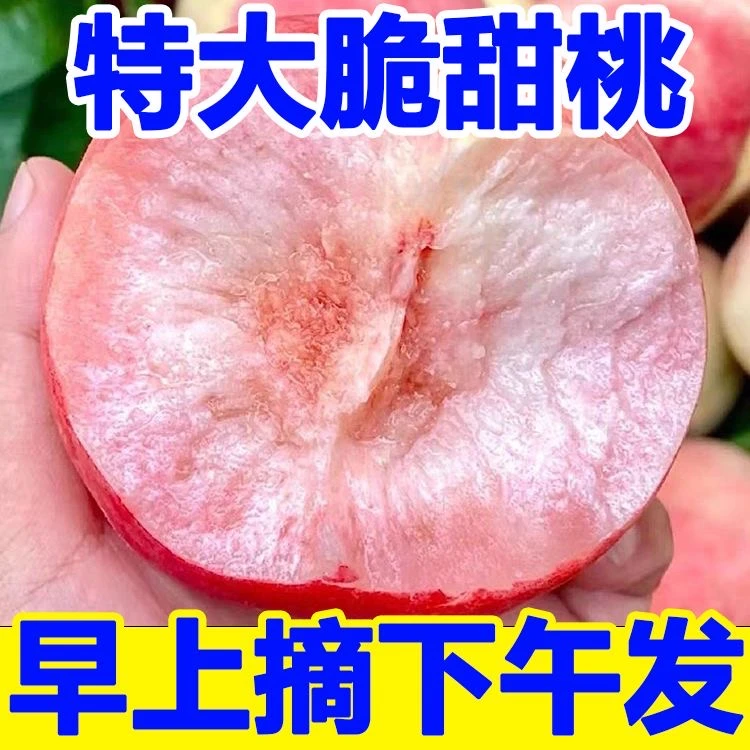 【脆蜜桃】山西脆桃蜜桃新鲜现采现摘包邮好吃原厂地直发猴子爱吃