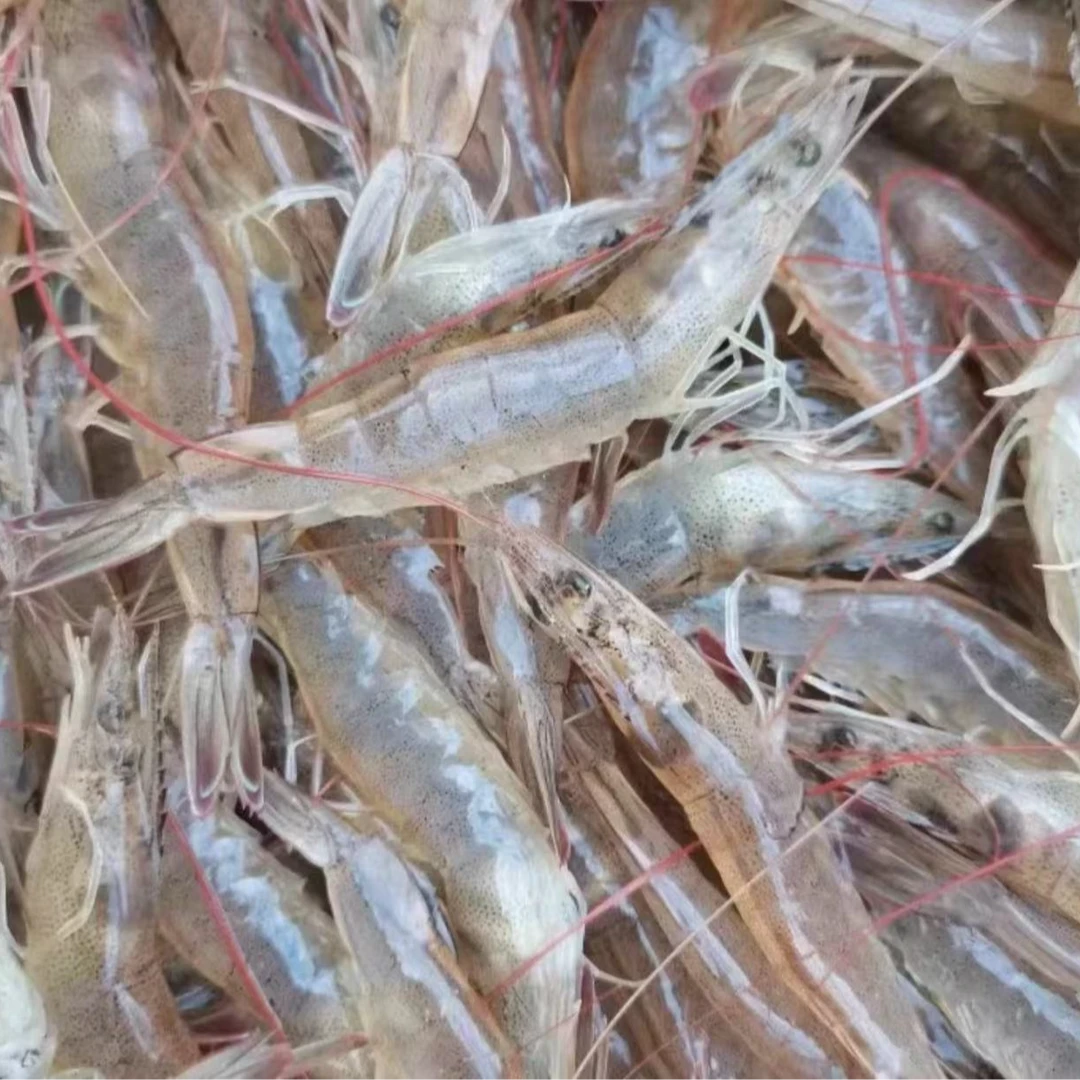 连云港发货 急冻锁鲜 美味小白虾带冰500g/ 盒 到手6盒  冷链包邮