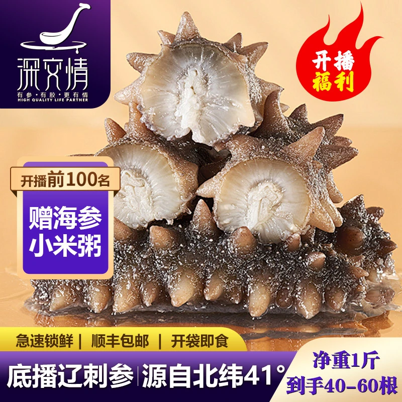 深交情高温蒸煮即食海参40-60头/斤源头工厂直销北纬41°辽刺参