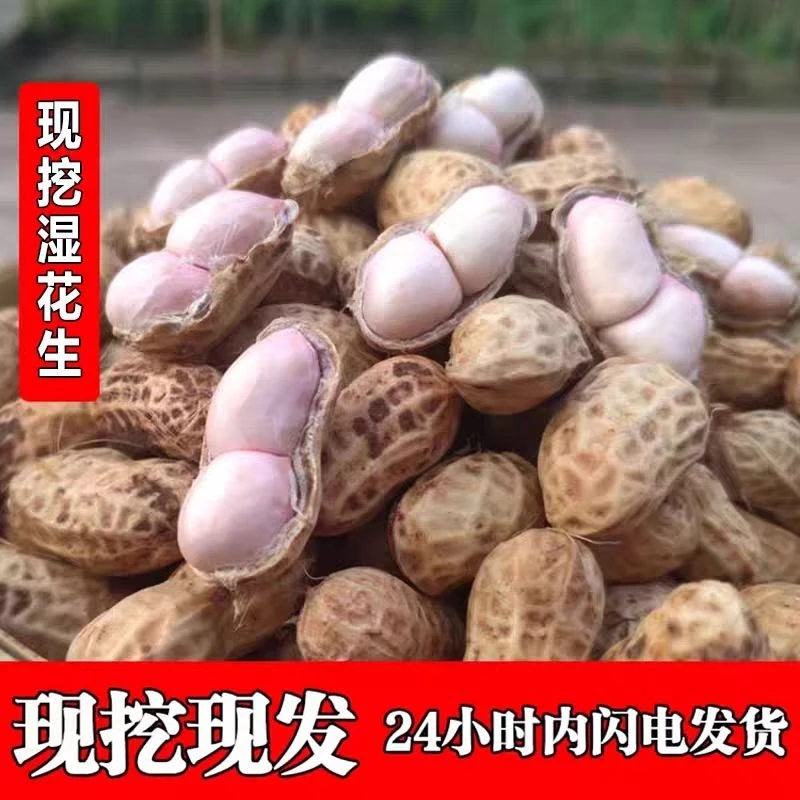 【精选5斤】2025新鲜现挖湿花生白皮花生粉皮花生3斤新货1斤