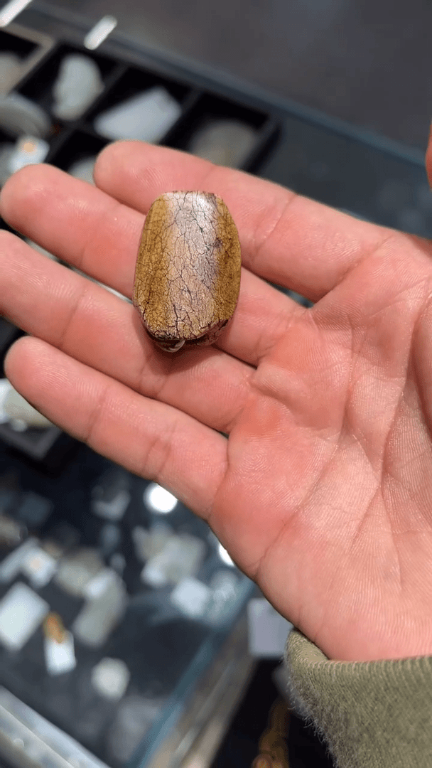 【闪购商品】玉玉