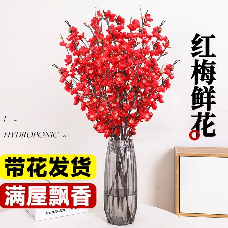 水培红梅花鲜桃花干枝鲜花清香室内花卉雪柳盆栽植物客厅阳台开花