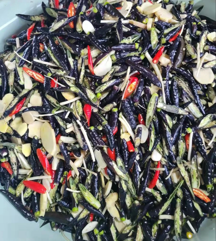 云南美食 泡小黑辣椒  姜片 苤菜根 香辣开胃 下饭神器 360克