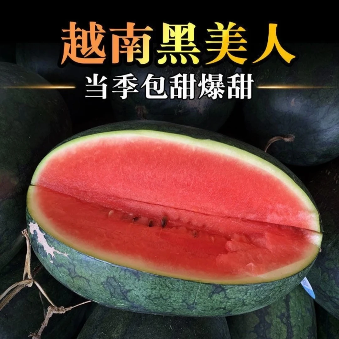 【元旦福利】黑美人西瓜包熟甜5-11斤 任何问题联系客服 包所有售后